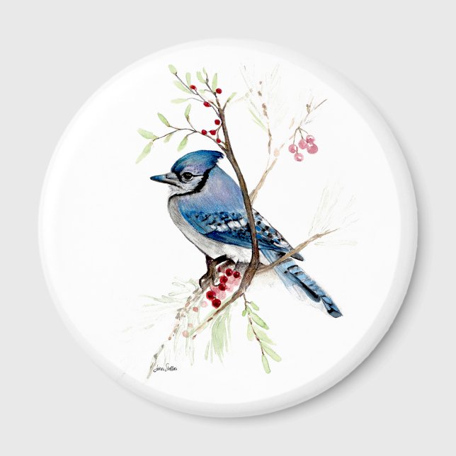 Aimant Magnifique Geai Bleu Aquarelle (Beautiful Blue Jay Watercolor Magnet by Jenn Steffen Art.)