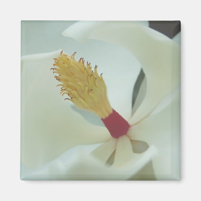 Aimant Magnolia1 (Devant)
