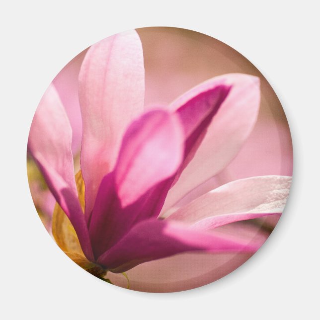 Aimant Magnolia rose (Devant)