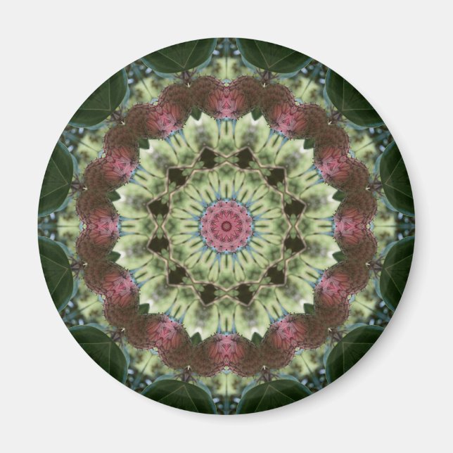 Aimant Magnolia Seed Pod Mandala (Devant)