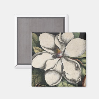 Aimant Magnolia Vintage