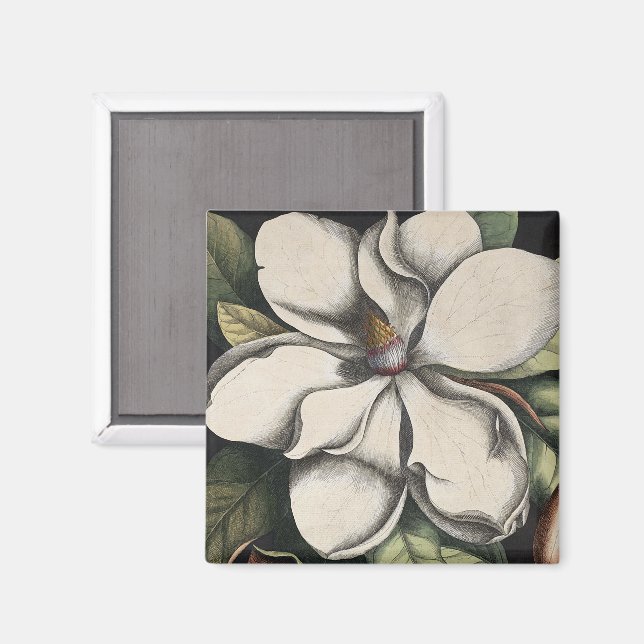 Aimant Magnolia Vintage  (Recto/Verso)
