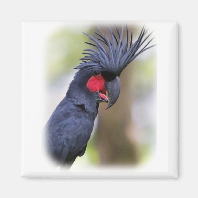 Aimant Main Palm COCKATOO Animaux de compagnie (Devant)