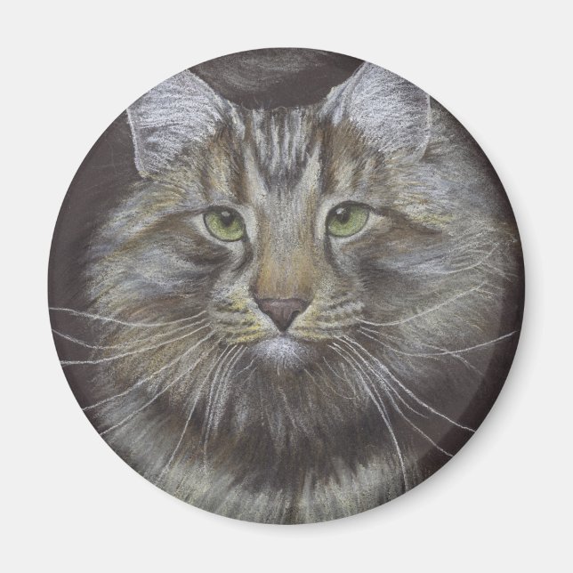 Aimant Maine Coon (Devant)