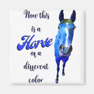 Aimant Maintenant C'est Un Cheval De Couleur Différente e
