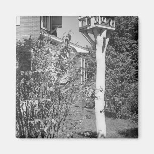 Aimant Maison d'oiseau dans le jardin