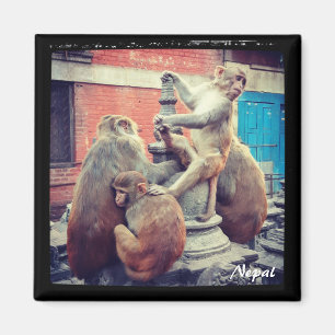 Aimant Maître de yoga, Swayambhunath, Katmandou - Népal