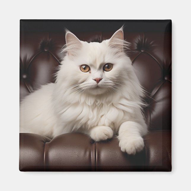 Aimant Majestic white cat (Devant)