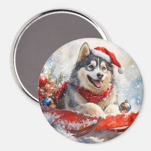 Aimant Malamute d'Alaska dans la boue Laisser il neige No