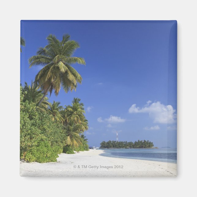 Aimant Maldives, Atoll de Meemu, île de Medhufushi (Devant)