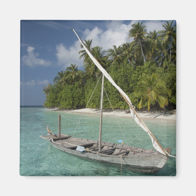 Aimant Maldives, Atoll de North Male, Île de Kuda (Devant)
