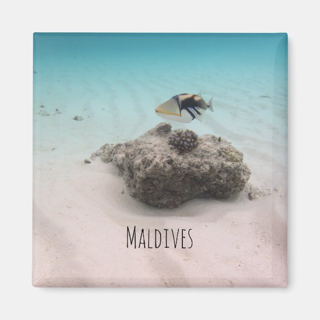 Aimant Maldives White Sand Lagoon Coral Poisson Souvenir (Devant)
