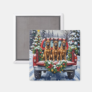 Aimant Malinois belge Noël Camion Rouge Fêtes