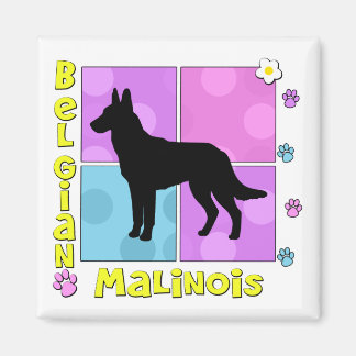 Aimant Malinois belge super