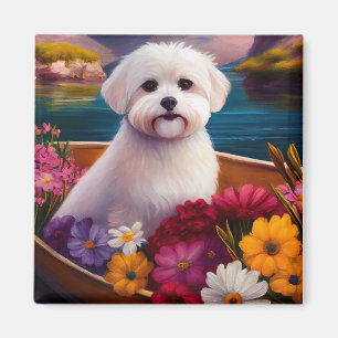 Aimant Maltais à la pagaie : une aventure Pittoresque