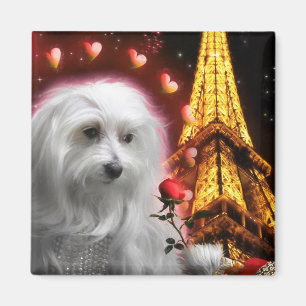 Aimant Maltese Dog Eiffel Tower The SPARK OF LOVE !