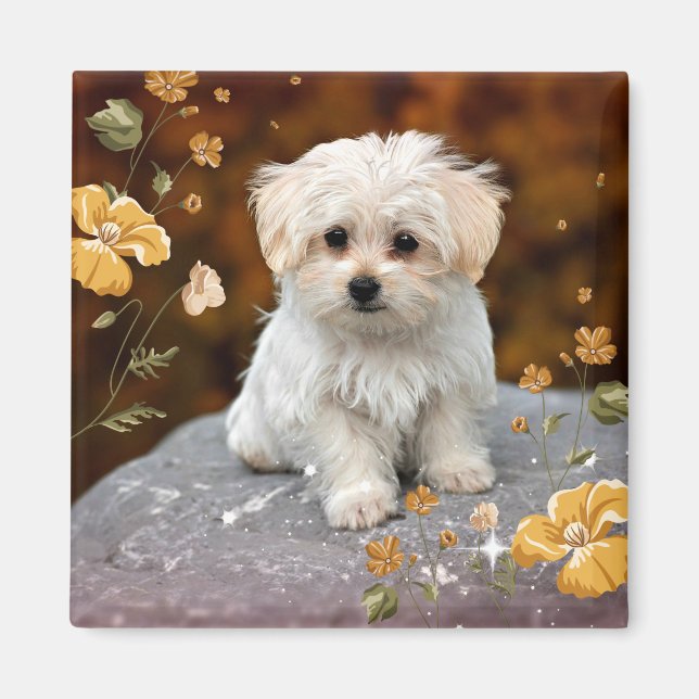 Aimant Maltese Puppy, oh si mignon, (Devant)