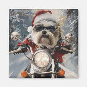 Aimant Malti Tzu Chien équitation Moto Noël