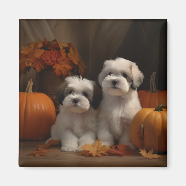 Aimant Malti tzu chiot Autumn Delight Citrouille (Devant)