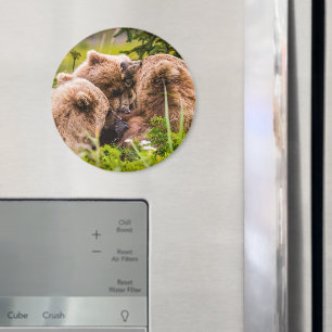 Aimant Mama bear nourrit ses deux petits, Lake Clark Nati