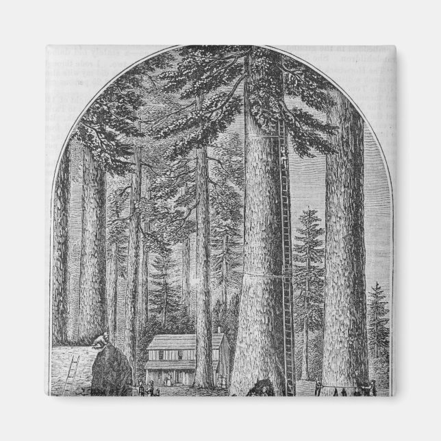 Aimant Mammoth dans la Vallée de la (Devant)