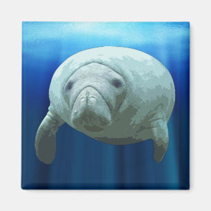 Aimant Manatee
