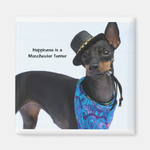Aimant Manchester Terrier Happiness Magazine