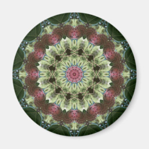 Aimant Mandala de cosse de graine de magnolia