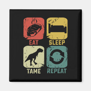 Aimant Manger Dormir Apprivoiser Répéter Dinosaure Jeux G