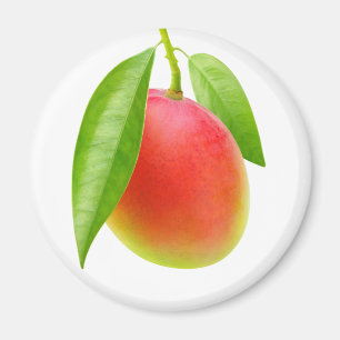 Aimant Mango