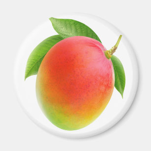 Aimant Mango