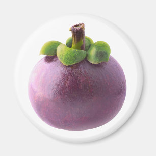 Aimant Mangosteen