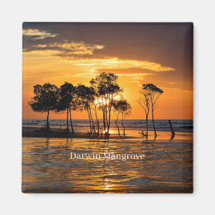 Aimant Mangrove de Darwin, Australie,