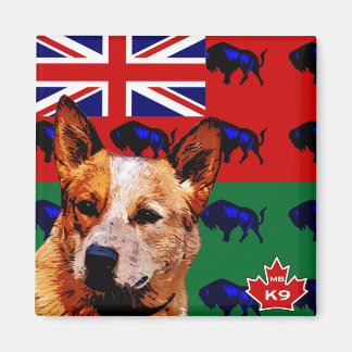 Aimant Manitoba Australian Cattle Dog