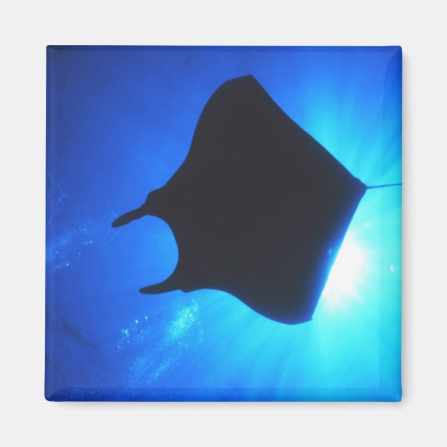 Aimant Manta Ray Silhouette (Devant)