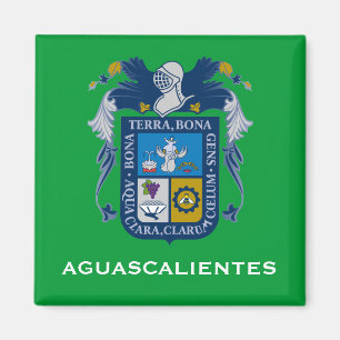 Aimant Manteau d'Aguascalientes d'aimant de bras