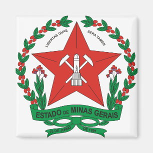 Aimant Manteau de Minas Gerais du Brésil de détail de