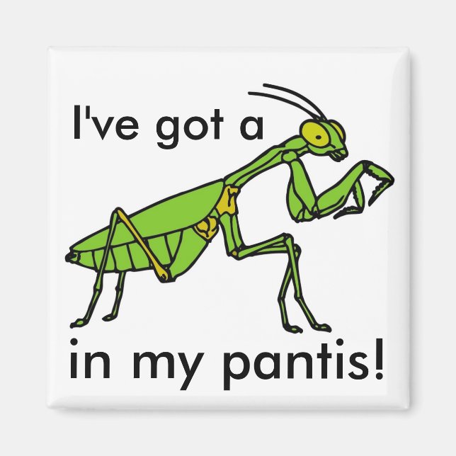 Aimant Mantis dans mon Pantis ! (Devant)