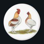 Aimant Manx Rumpies<br><div class="desc">L'immortalité chez les poulets est causée par une mutation dans laquelle le "nez du pape",  d'où proviennent les plumes de la queue,  est absent. Ce sont des bantams de jeu à pyle rouge.</div>
