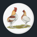 Aimant Manx Rumpies<br><div class="desc">L'immortalité chez les poulets est causée par une mutation dans laquelle le "nez du pape",  d'où proviennent les plumes de la queue,  est absent. Ce sont des bantams de jeu à pyle rouge.</div>