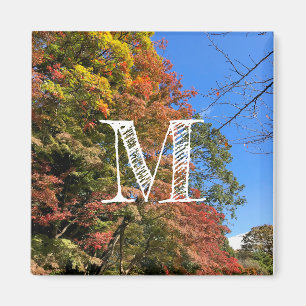 Aimant Maples colorées vives