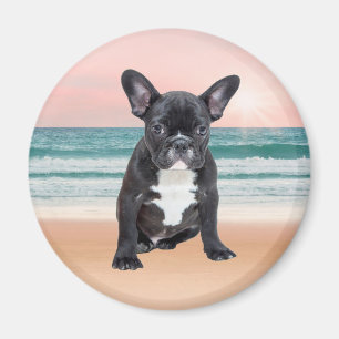Aimant Mare French Bulldog Beach Eau Soleil