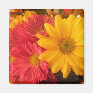 Aimant Marguerite rose et jaune