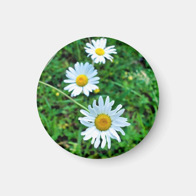 Aimant Marguerites oculaires (Devant)