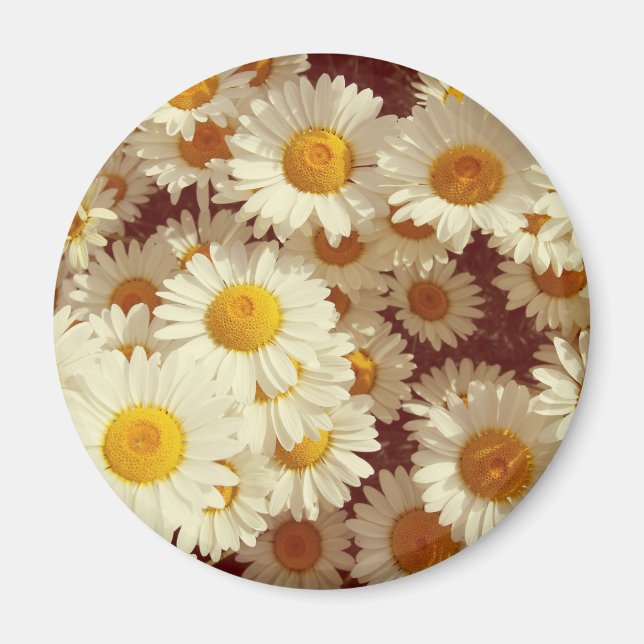 Aimant marguerites vintages (Devant)