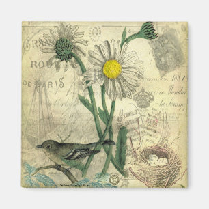 Aimant marguerites vintages