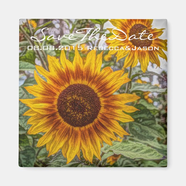 Aimant mariage de tournesol jaune du pays occidental (Devant)