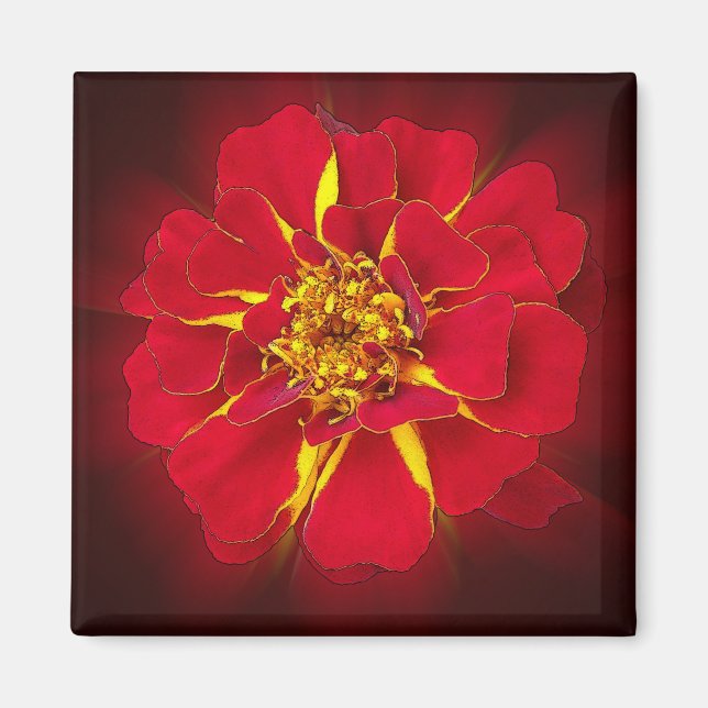 Aimant marigold rouge vif (Devant)