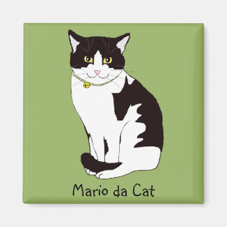Aimant Mario da Cat