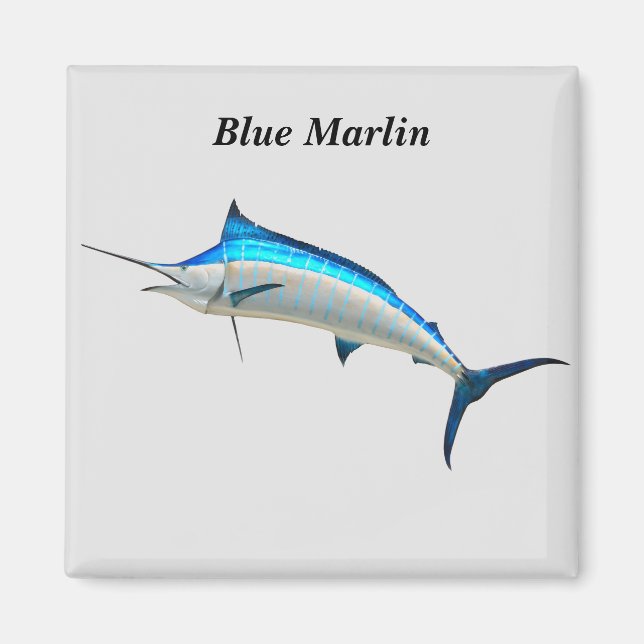 Aimant Marlin bleu (Devant)